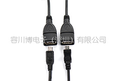 USB A母成型線